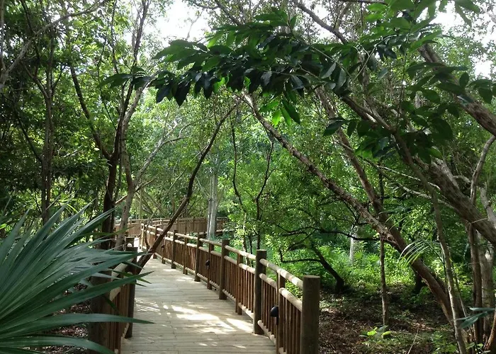 Mayan Palace Vidanta Resort Riviera MayaHotel Playa